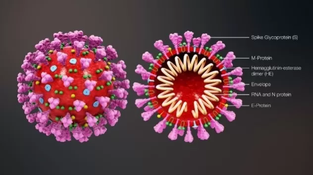 Kubet Worldwide chung tay phòng chống lây nhiễm Covid 19 nhờ quy trình kiểm soát nhiễm khuẩn “chuẩn”. Covid 19 (Virus Corona, SARS CoV-2)